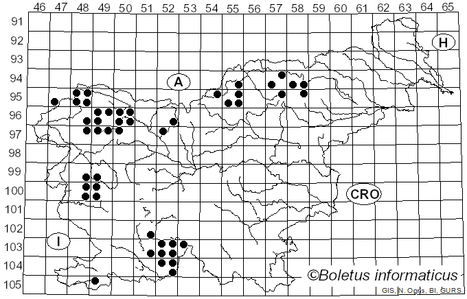 <i>Pseudevernia</i> Zopf (1903)