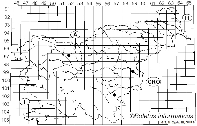 <i>Pogonoloma spinulosum</i> (Kühner & Romagn.) Sánchez-García (2014)