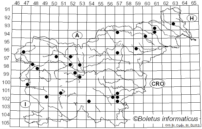 <i>Russula nitida</i> (Pers.) Fr. (1838)