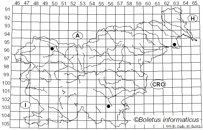 <i>Brunnipila</i> Baral (1985)