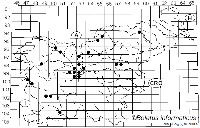<i>Plasmopara nivea</i> (Unger) J. Schröt. (1886)