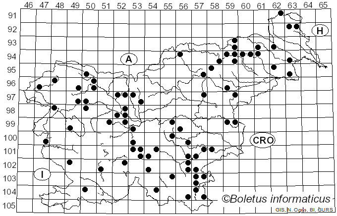 <i>Hypoxylon fuscum</i> (Pers.) Fr. (1849)