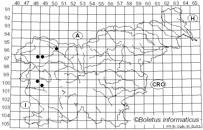 <i>Phaeophyscia chloantha</i> (Ach.) Moberg (1978)
