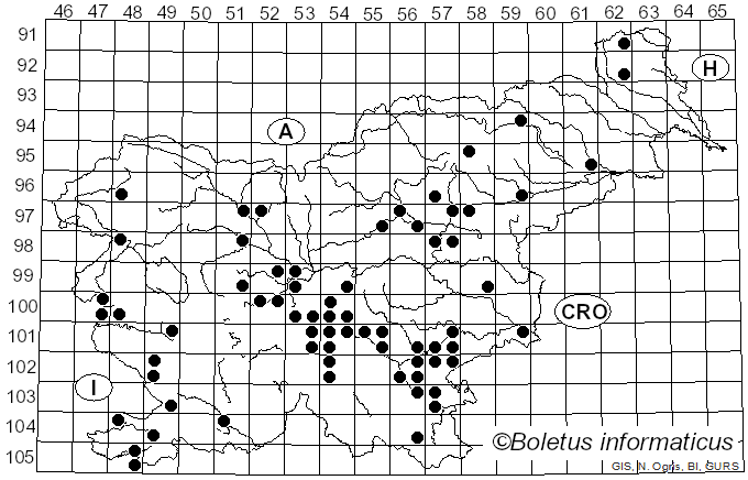 <i>Rubroboletus dupainii</i> (Boud.) Kuan Zhao & Zhu L. Yang (2014)