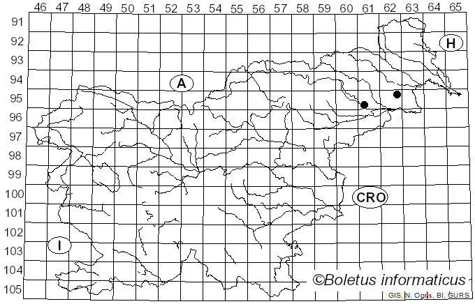 <i>Amanita deflexa</i> Hanss, Dima & L. Albert (2024)