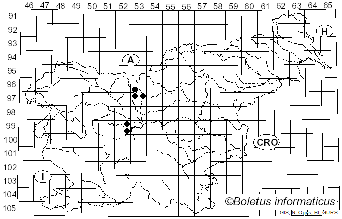 <i>Phyllachora heraclei</i> (Fr.) Fuckel (1870)