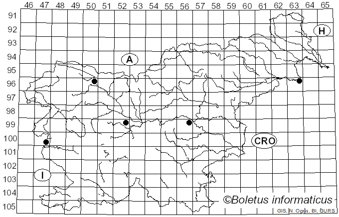 <i>Coryneum</i> Nees (1816)