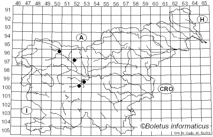 <i>Pucciniastrum epilobii</i> (Chaillet) G.H. Otth (1861)