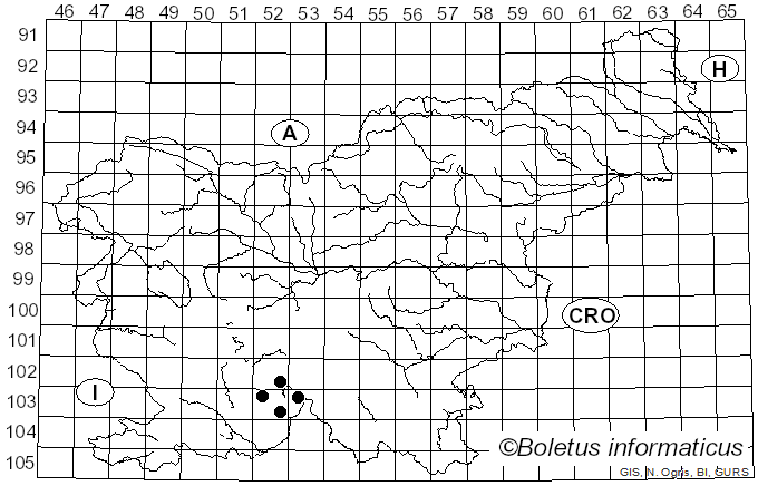 <i>Porina leptalea</i> (Durieu & Mont.) A.L. Sm. (1911)