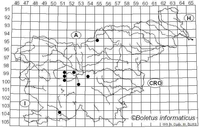 <i>Brunchorstia</i> Erikss. (1891)