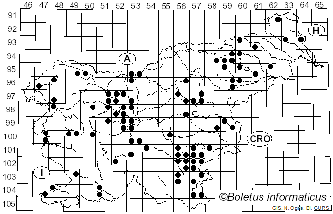 <i>Coprinellus disseminatus</i> (Pers.) J.E. Lange (1938)