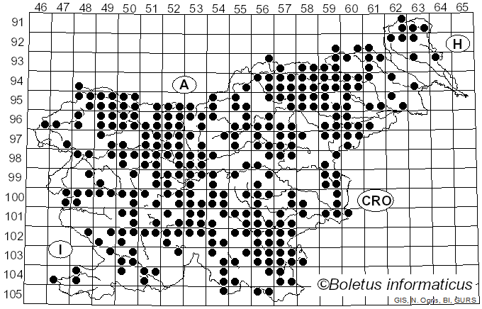 <i>Fomitopsis</i> P. Karst. (1881)