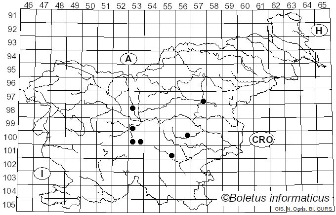 <i>Stemonitis ferruginea</i> Ehrenb. (1818)