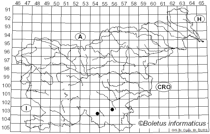 <i>Amylocorticium canadense</i> (Burt) J. Erikss. & Weresub (1974)