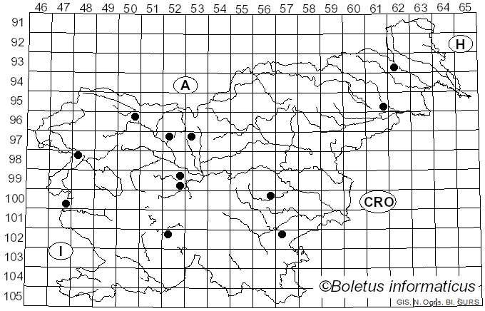 <i>Melogramma campylosporum</i> Fr. (1849)