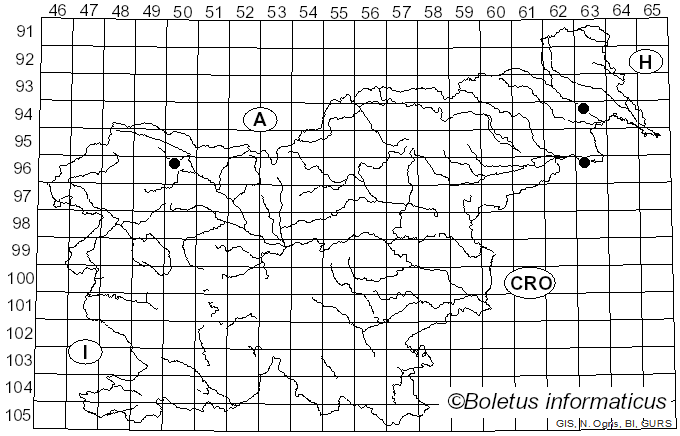 <i>Orbilia pilifera</i> Baral & R. Galán (2011)