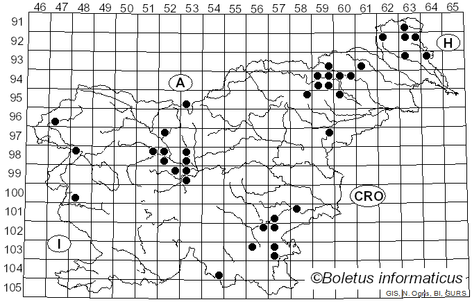 <i>Bjerkandera fumosa</i> (Pers.) P. Karst. (1880)