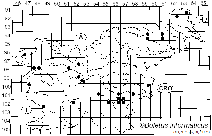 <i>Cortinarius humicola</i> (Quél.) Maire (1911)