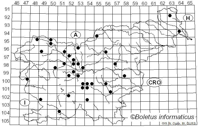 <i>Nevrophyllum</i> Pat. (1886)