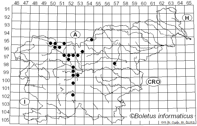 <i>Phoma</i> Sacc. (1880)