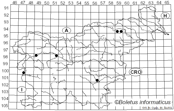 <i>Entoloma ameides</i> (Berk. & Broome) Sacc. (1887)
