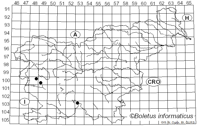 <i>Phaeophyscia ciliata</i> (Hoffm.) Moberg (1977)