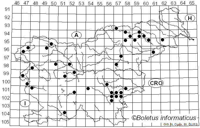 <i>Agrocybe pediades</i> (Fr.) Fayod (1889)