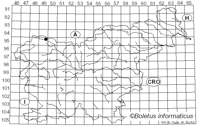 <i>Hypoxylon vogesiacum</i> (Pers. ex Curr.) Sacc. (1882)