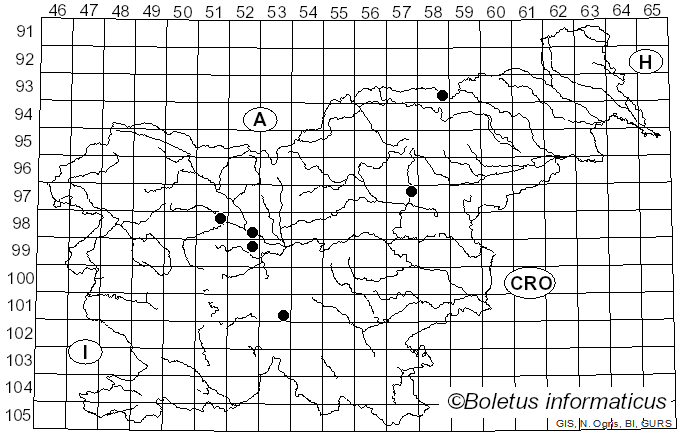 <i>Clitocybe diatreta</i> (Fr.) P. Kumm. (1871)