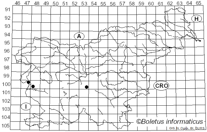 <i>Taphrina</i> Fr. (1815)
