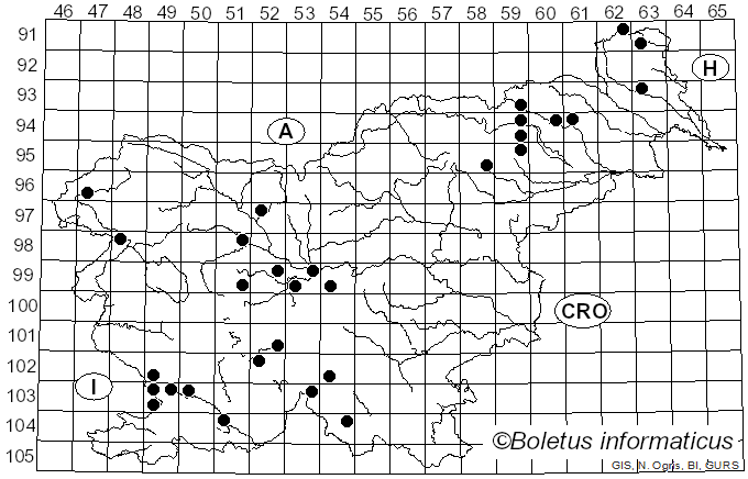 <i>Meruliopsis</i> Bondartsev (1959)