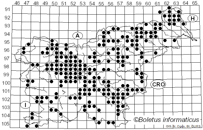 <i>Tricholoma saponaceum</i> (Fr.) P. Kumm. (1871)