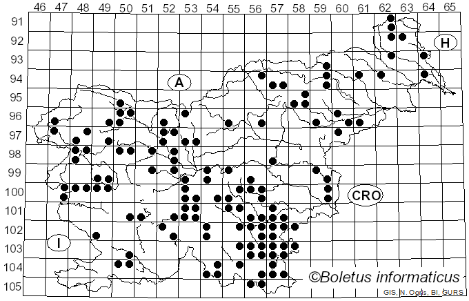 <i>Chlorociboria aeruginascens</i> (Nyl.) Kanouse ex C.S. Ramamurthi, Korf & L.R. Batra (1958)