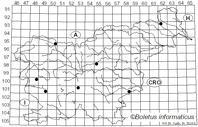 <i>Aureobasidium pullulans</i> var. <i>pullulans</i> (de Bary) G. Arnaud (1918)
