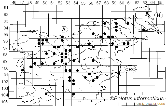 <i>Elaphomyces</i> Nees (1820)