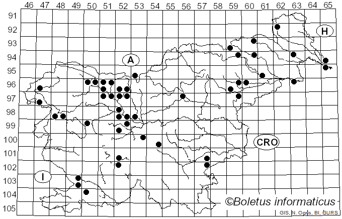 <i>Sarcoscypha austriaca</i> (Beck ex Sacc.) Boud. (1907)