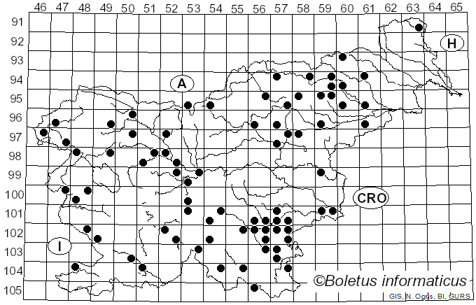 <i>Russula chloroides</i> (Krombh.) Bres. (1900)