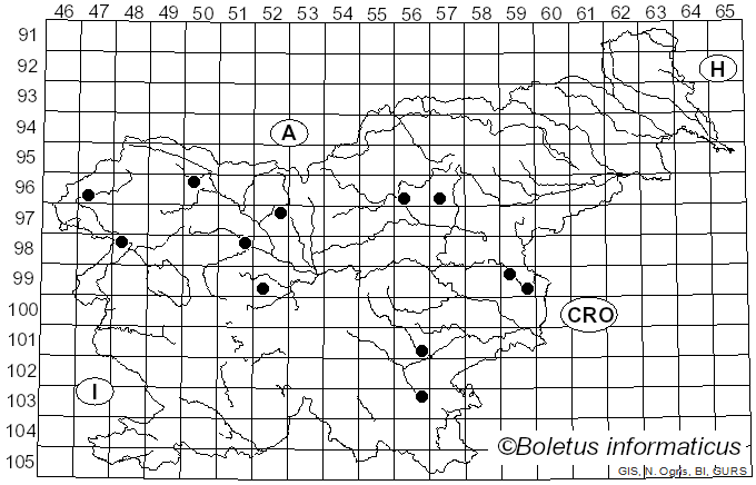 <i>Cuphophyllus flavipes</i> (Britzelm.) Bon (1985)