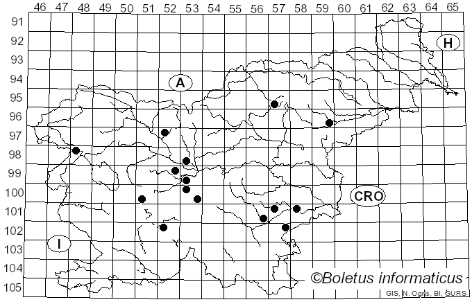 <i>Hygrophorus ponderatus</i> Britzelm.
