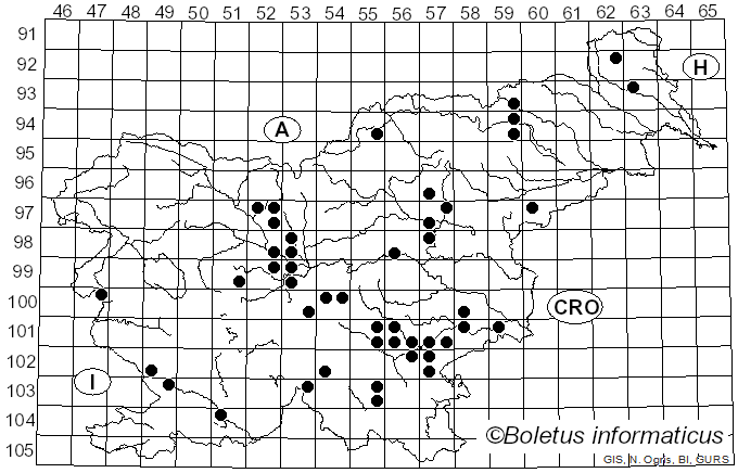 <i>Xylosphaera</i> Dumort. (1822)
