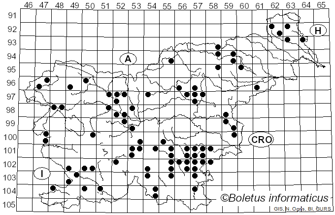 <i>Mycena polygramma</i> (Bull.) Gray (1821)