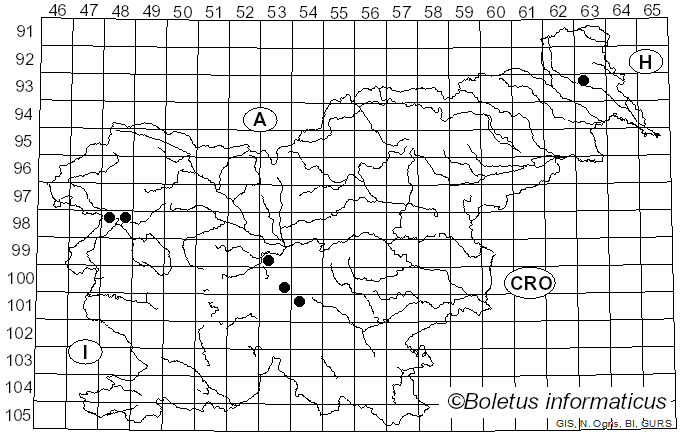 <i>Cortinarius crystallinus</i>