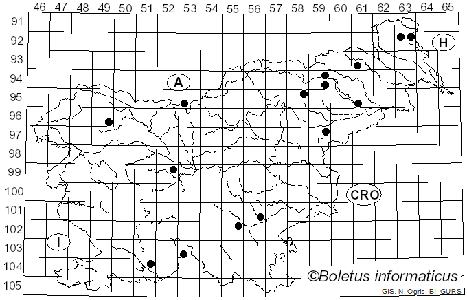 <i>Mycena silvae-nigrae</i> Maas Geest. & Schwöbel (1987)