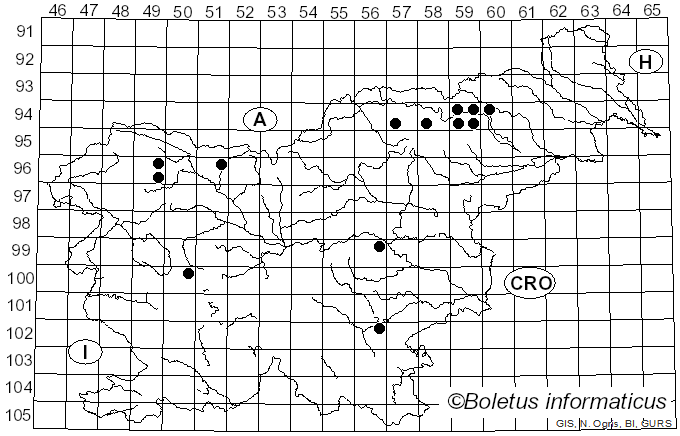 <i>Rickenella swartzii</i> (Fr.) Kuyper (1983)