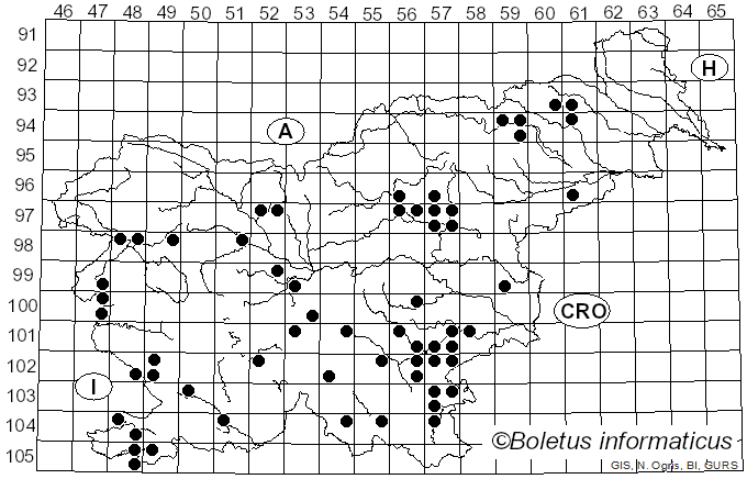 <i>Lactarius azonites</i> (Bull.) Fr. (1838)