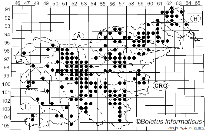 <i>Suillus bovinus</i> (Pers.) Kuntze (1898)