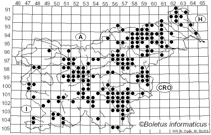 <i>Russula atropurpurea</i> (Krombh.) Britzelm. (1893)