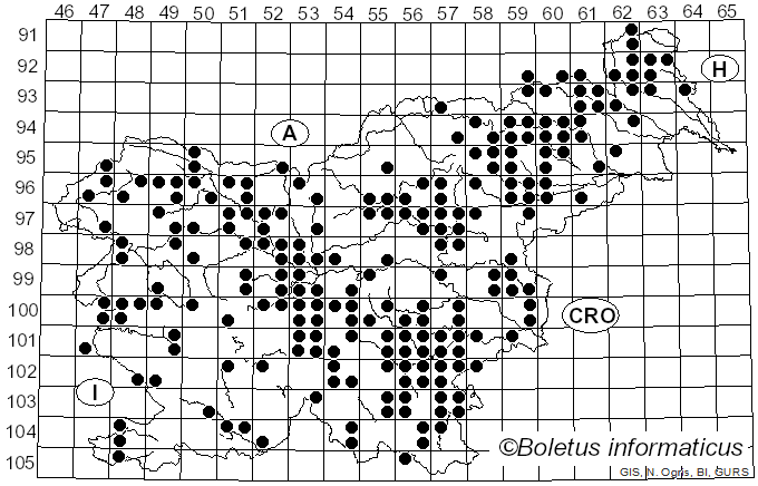 <i>Gymnopus dryophilus</i> (Bull.) Murrill (1916)
