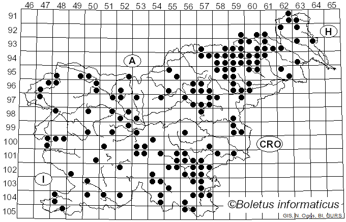 <i>Trametes pubescens</i> (Schumach.) Pilát (1939)