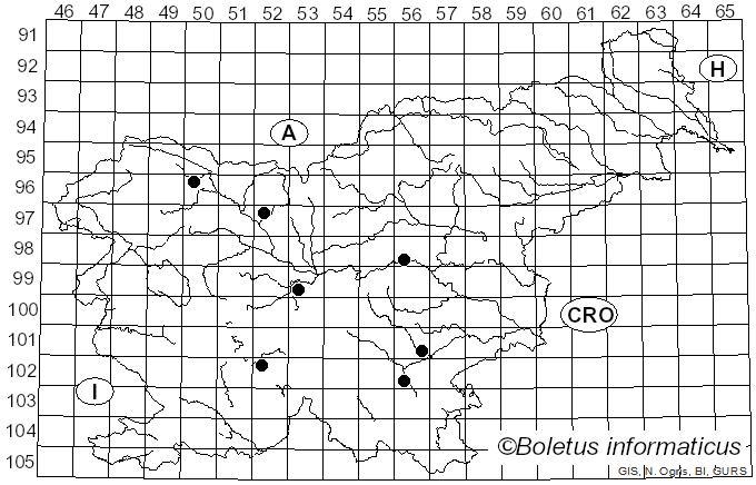 <i>Ramaria spinulosa</i> (Pers.) Quél. (1888)